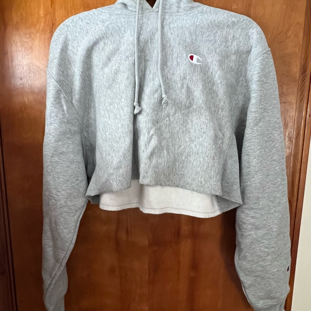 Champion Reverse Weave Crop Hoodie (Small)